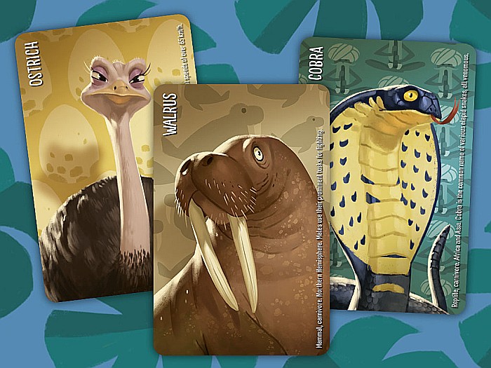 Similo - Wild Animals EN version [3]