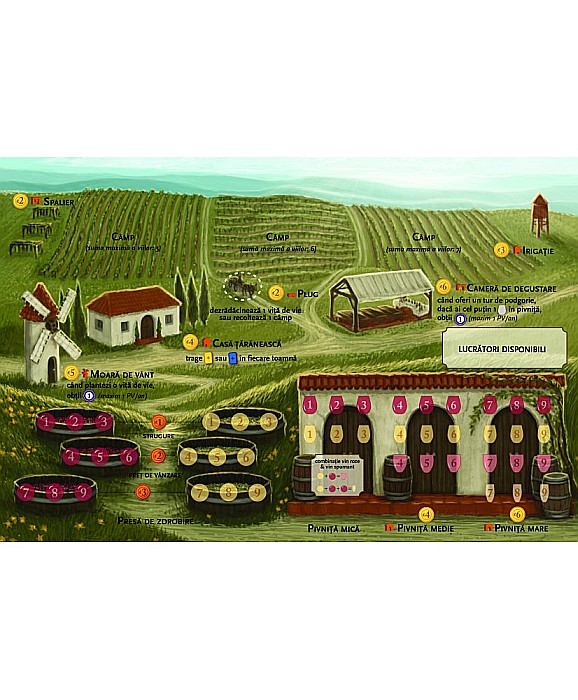 Viticultura aka Viticulture Essential Edition (Romanian Edition) [3]