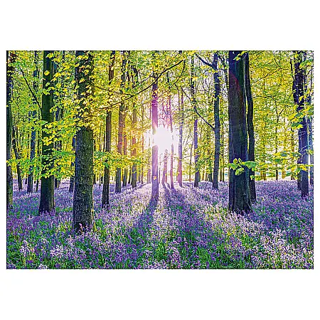 Puzzle Schmidt: Padurea cu zambile, 1000 piese [1]
