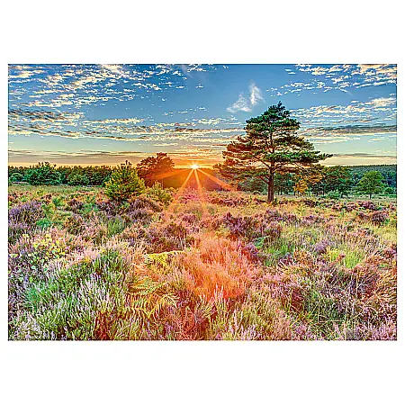 Puzzle Schmidt: Apus de soare, 1000 piese [1]
