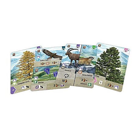 Padurea aleasa, Extensie Alpine, limba engleza [1]