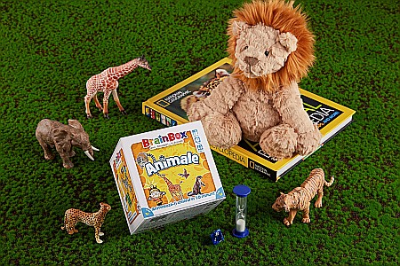 BrainBox Animale [7]