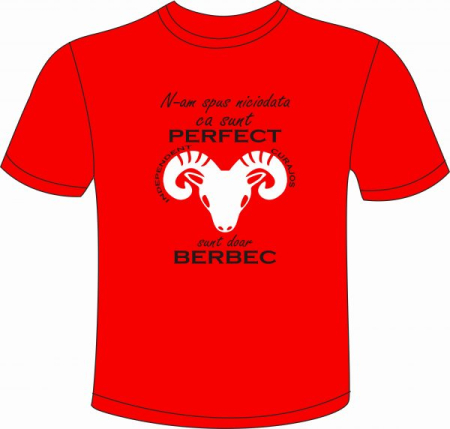 Tricouri personalizate - Tricou personalizat