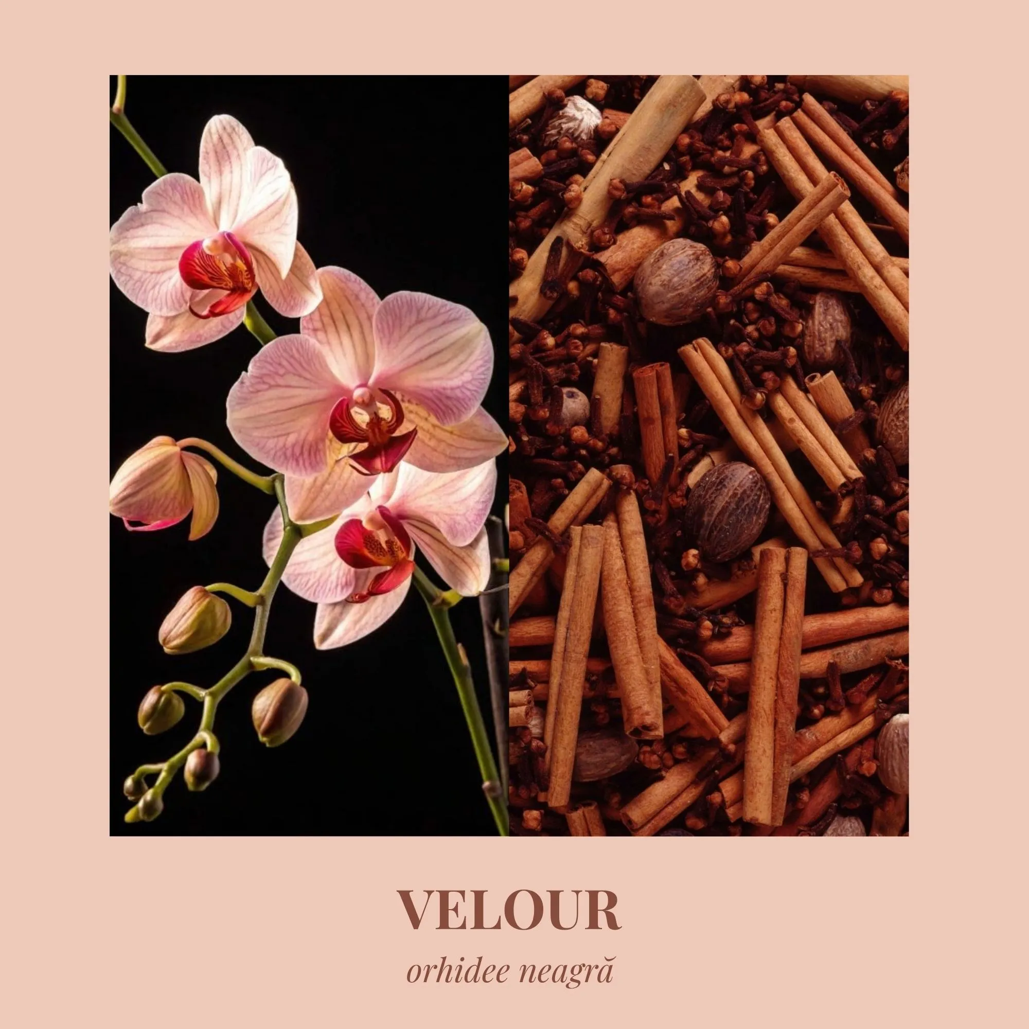 Lumânare parfumată Velour – My Inspiration [1]