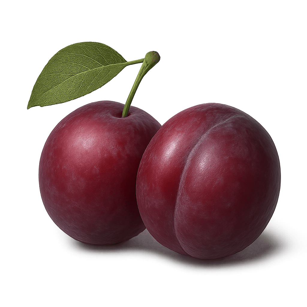 Plum