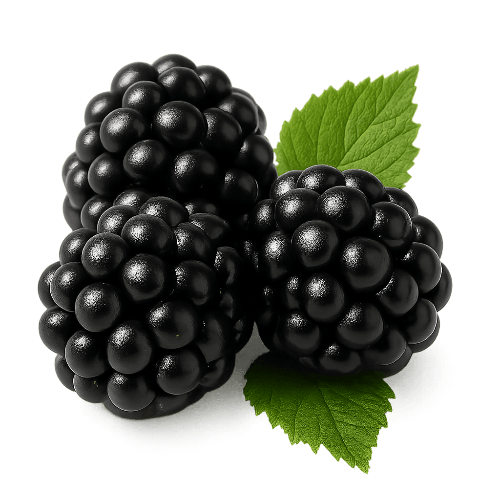 Blackberries