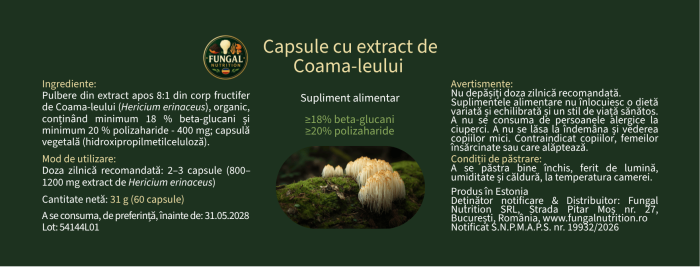 Capsule Coama-leului (Lion’s Mane) – Fungal Nutrition [2]
