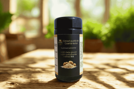 Descoperă Coama-leului - Extract pudră Coama-leului 45g (Lion’s Mane) – Fungal Nutrition