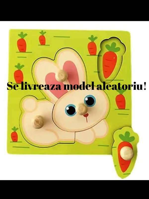 Puzzle incastru montessori din lemn [2]