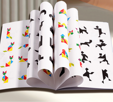 Set Educațional Tangram Magnetic din Lemn [1]