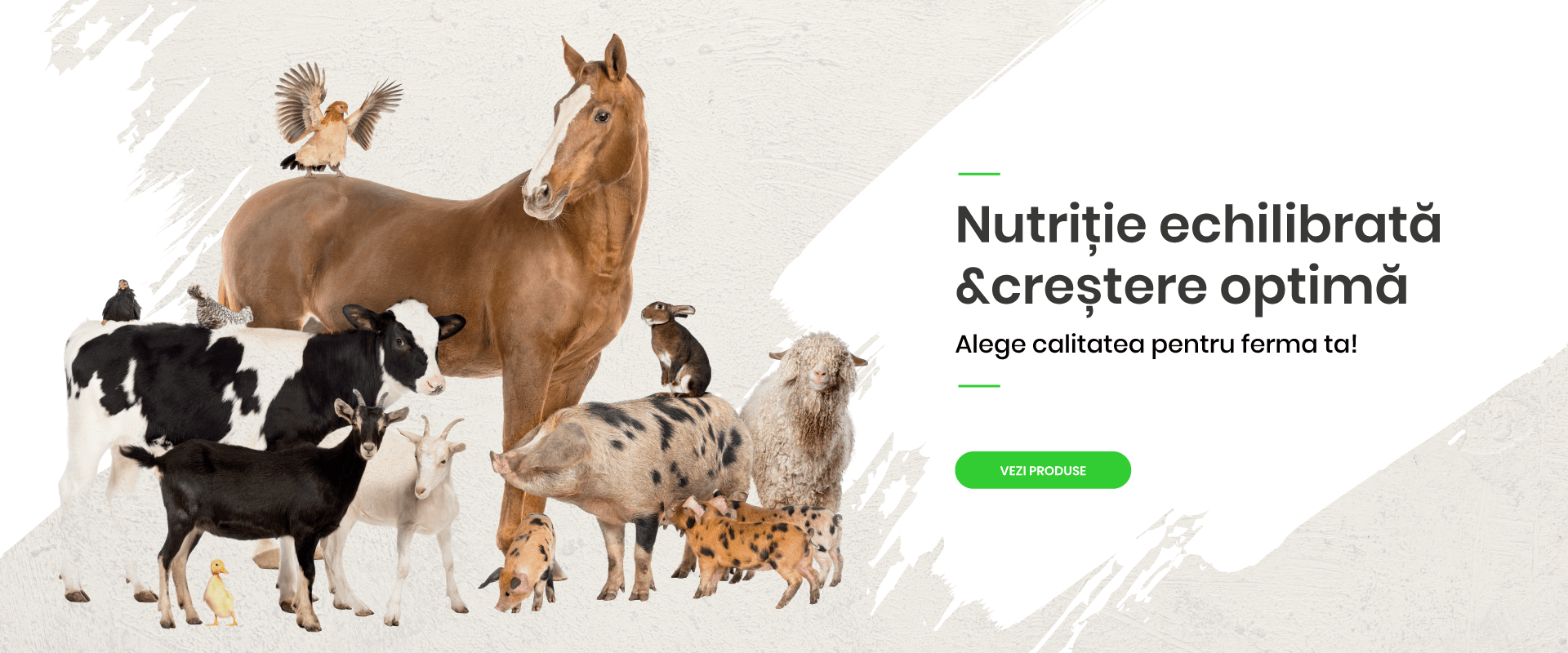 Nutritie echilibrata si crestere optima