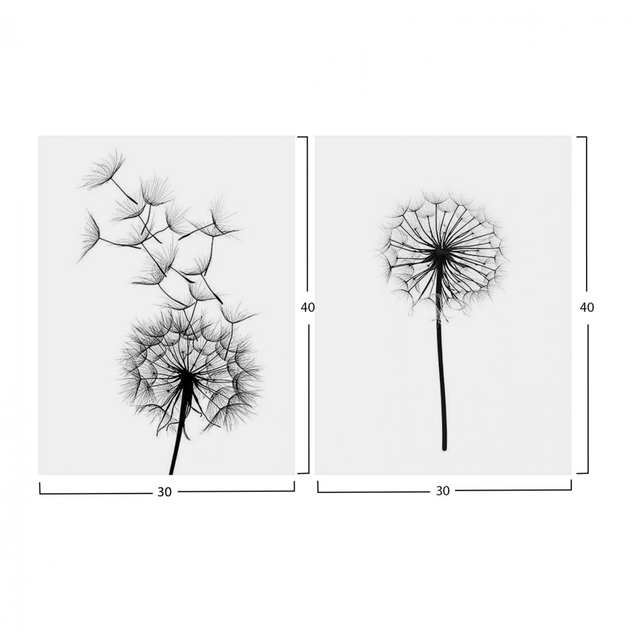 Canvas 2 piece set MDF Dandelion HM7203.02 60x40x2,7 cm. [2]