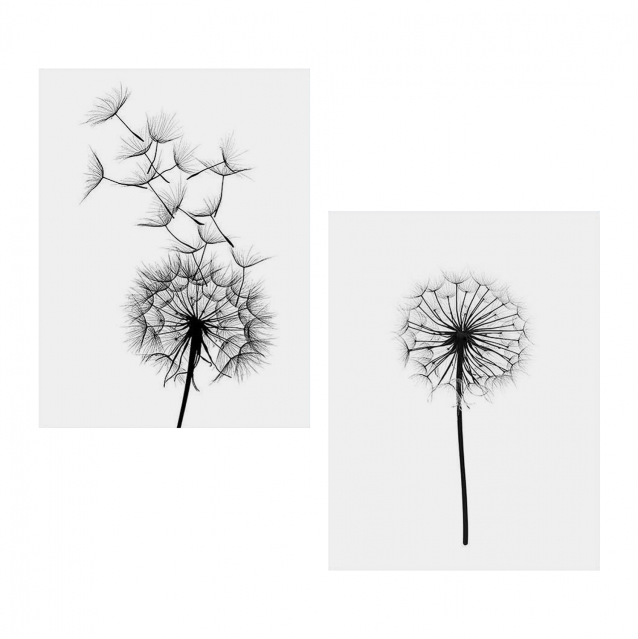 Canvas 2 piece set MDF Dandelion HM7203.02 60x40x2,7 cm. [4]