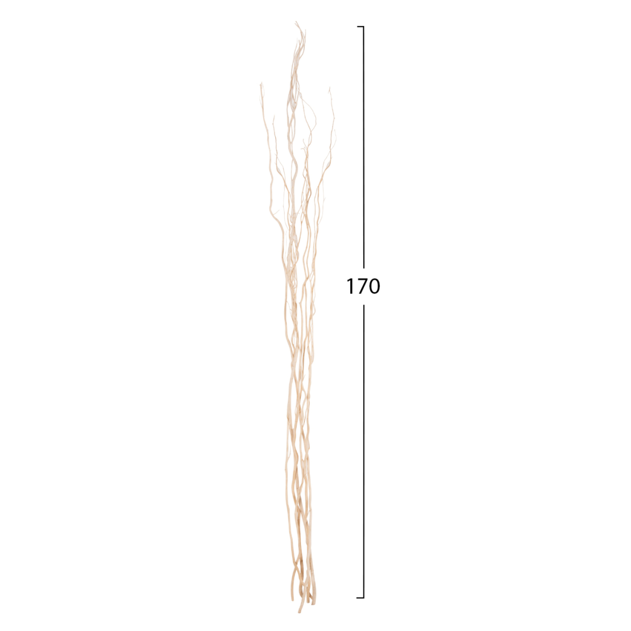 DECORATIVE BOUQUET 5PCS DRIED WILLOW BRANCHES HM7966 CREAM 170Hcm. [2]