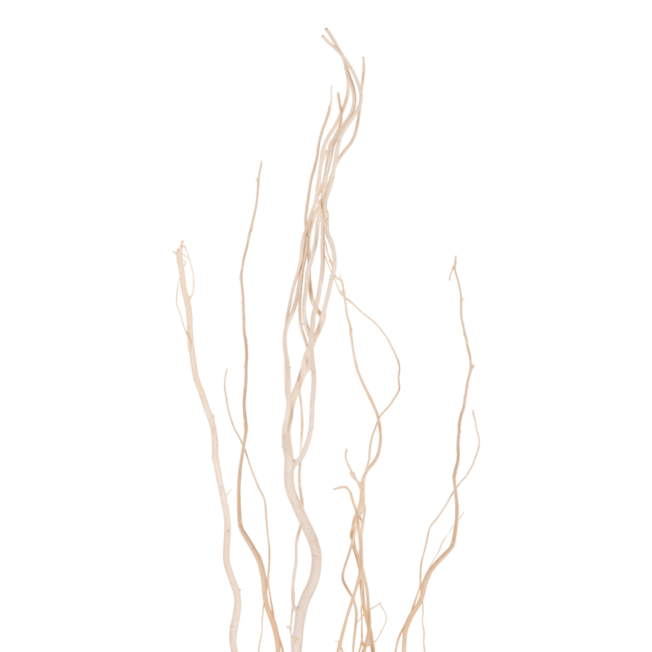 DECORATIVE BOUQUET 5PCS DRIED WILLOW BRANCHES HM7966 CREAM 170Hcm. [3]