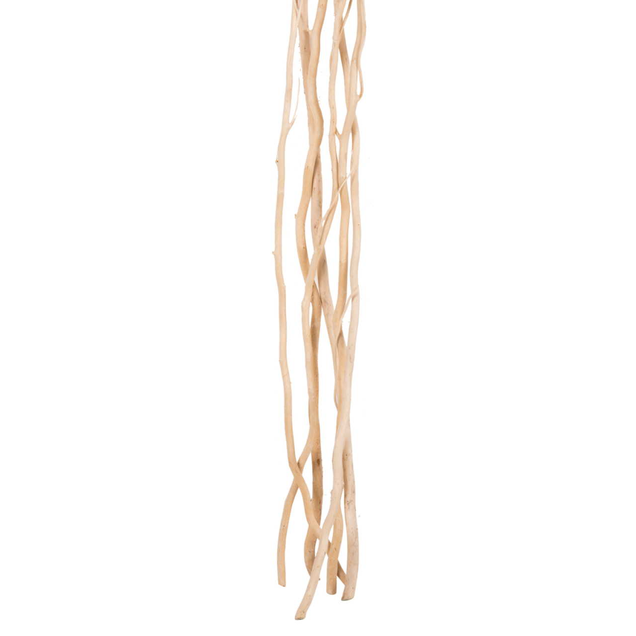 DECORATIVE BOUQUET 5PCS DRIED WILLOW BRANCHES HM7966 CREAM 170Hcm. [4]