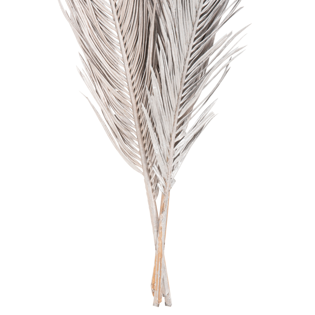 DECORATIVE DRIED 3-LEAF SET OF PALM TREE ΗΜ7957 SILVER 1120Hcm. [4]
