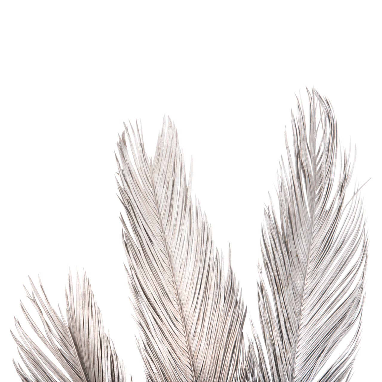 DECORATIVE DRIED 3-LEAF SET OF PALM TREE ΗΜ7957 SILVER 1120Hcm. [5]