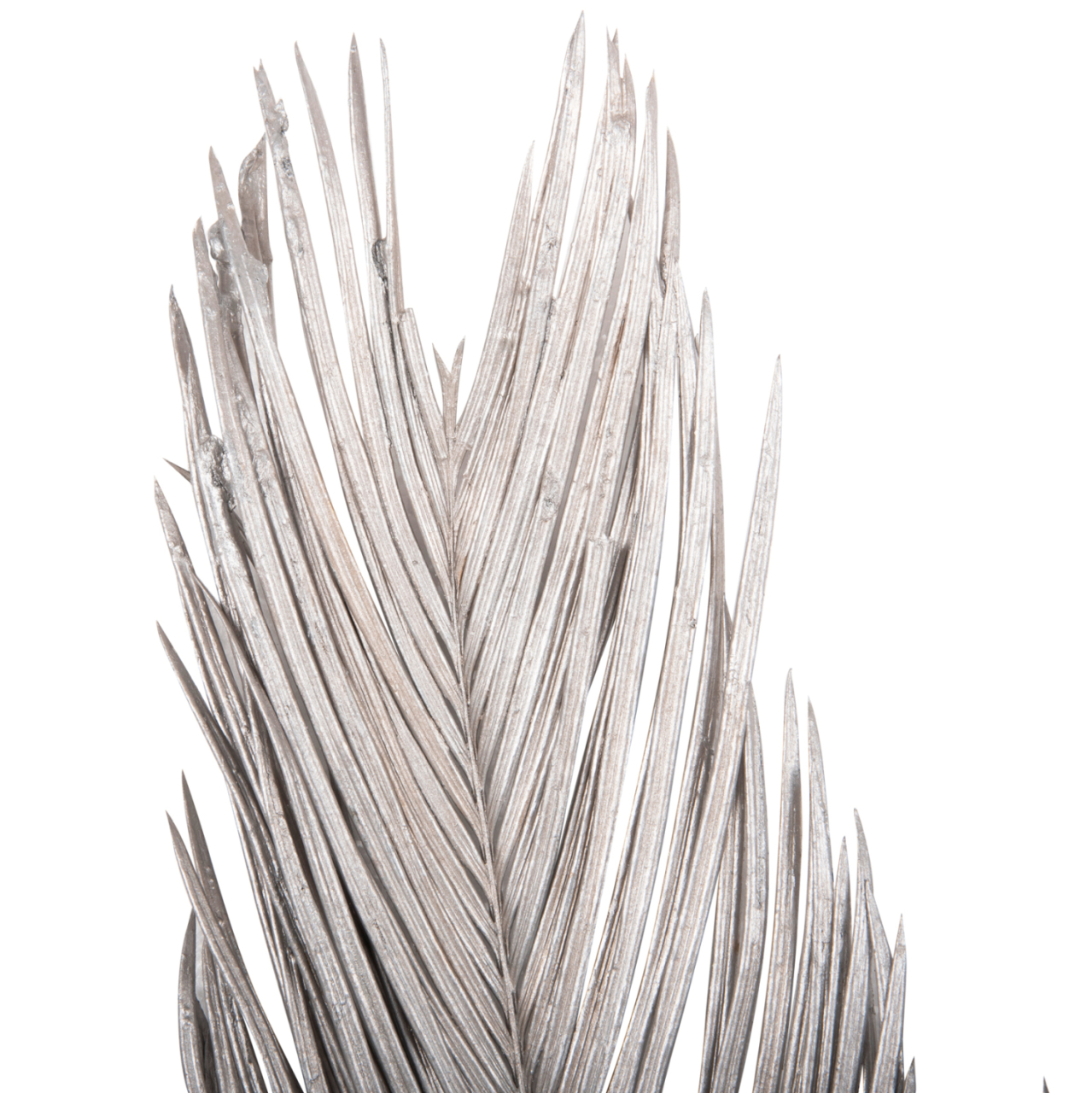 DECORATIVE DRIED 3-LEAF SET OF PALM TREE ΗΜ7957 SILVER 1120Hcm. [3]