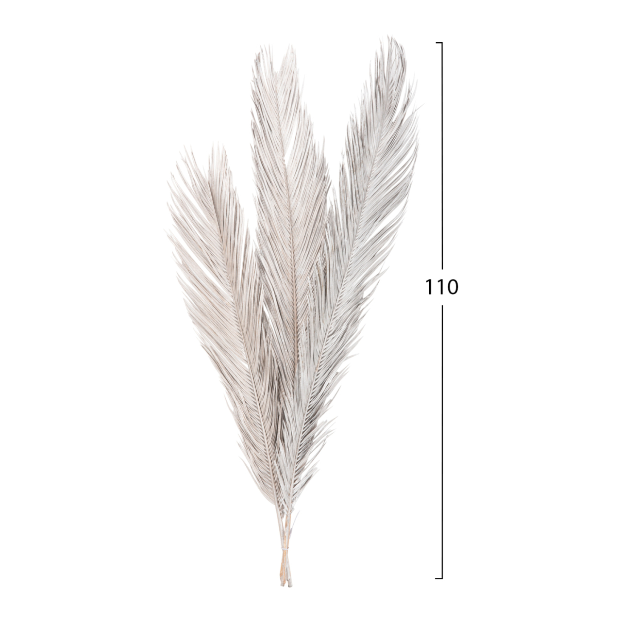 DECORATIVE DRIED 3-LEAF SET OF PALM TREE ΗΜ7957 SILVER 1120Hcm. [2]