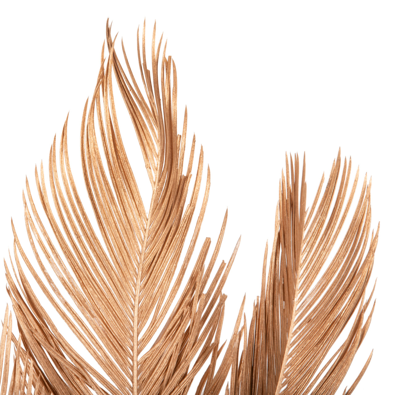 DECORATIVE DRIED 3-LEAF SET OF PALM TREE HM7958 GOLD 110Hcm. [3]