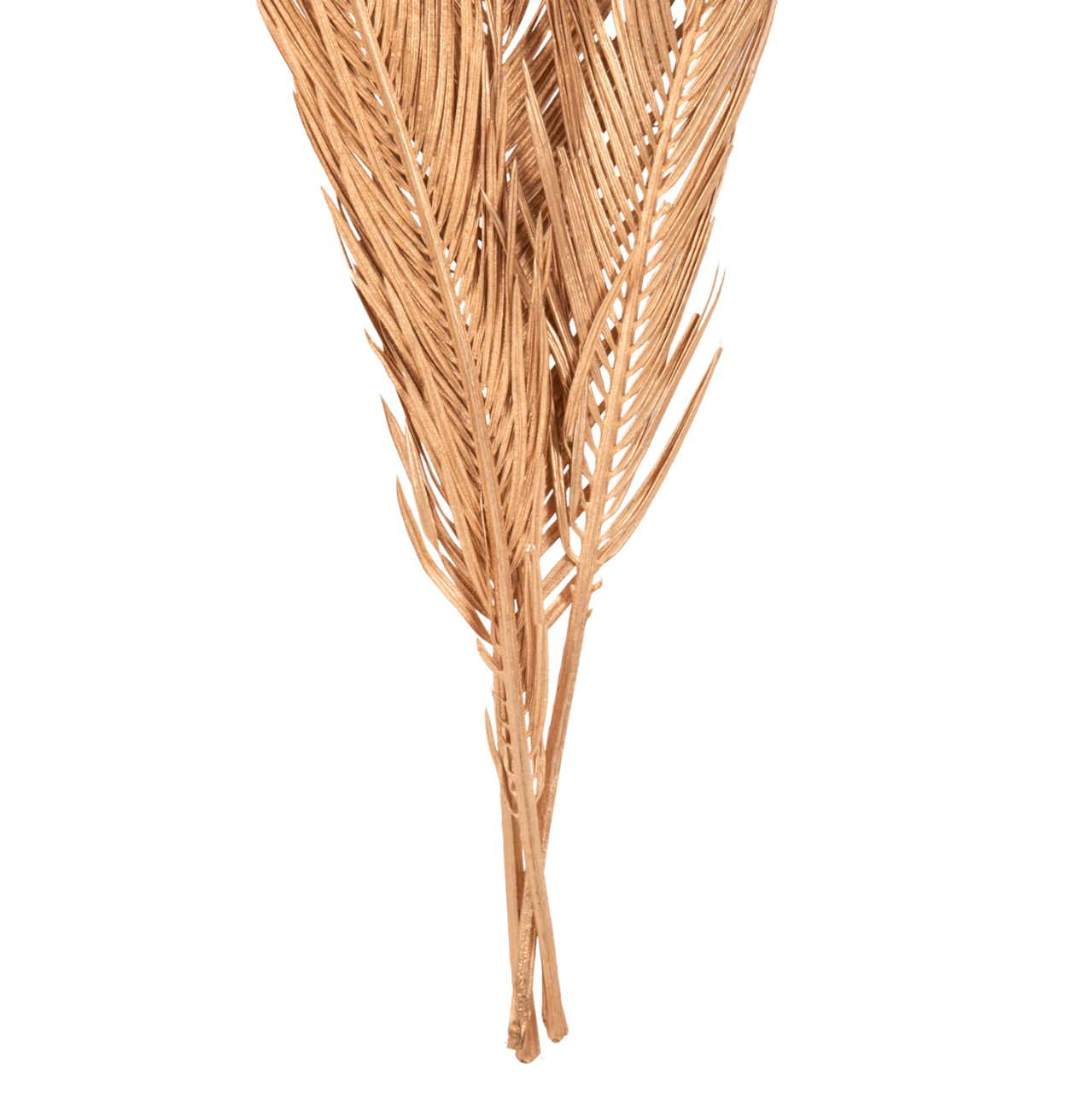 DECORATIVE DRIED 3-LEAF SET OF PALM TREE HM7958 GOLD 110Hcm. [4]