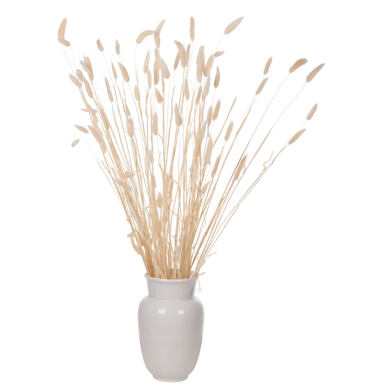 DECORATIVE DRIED BOUQUEΤ RABBIT TAIL HM7959 CREAM 76Hcm. [5]