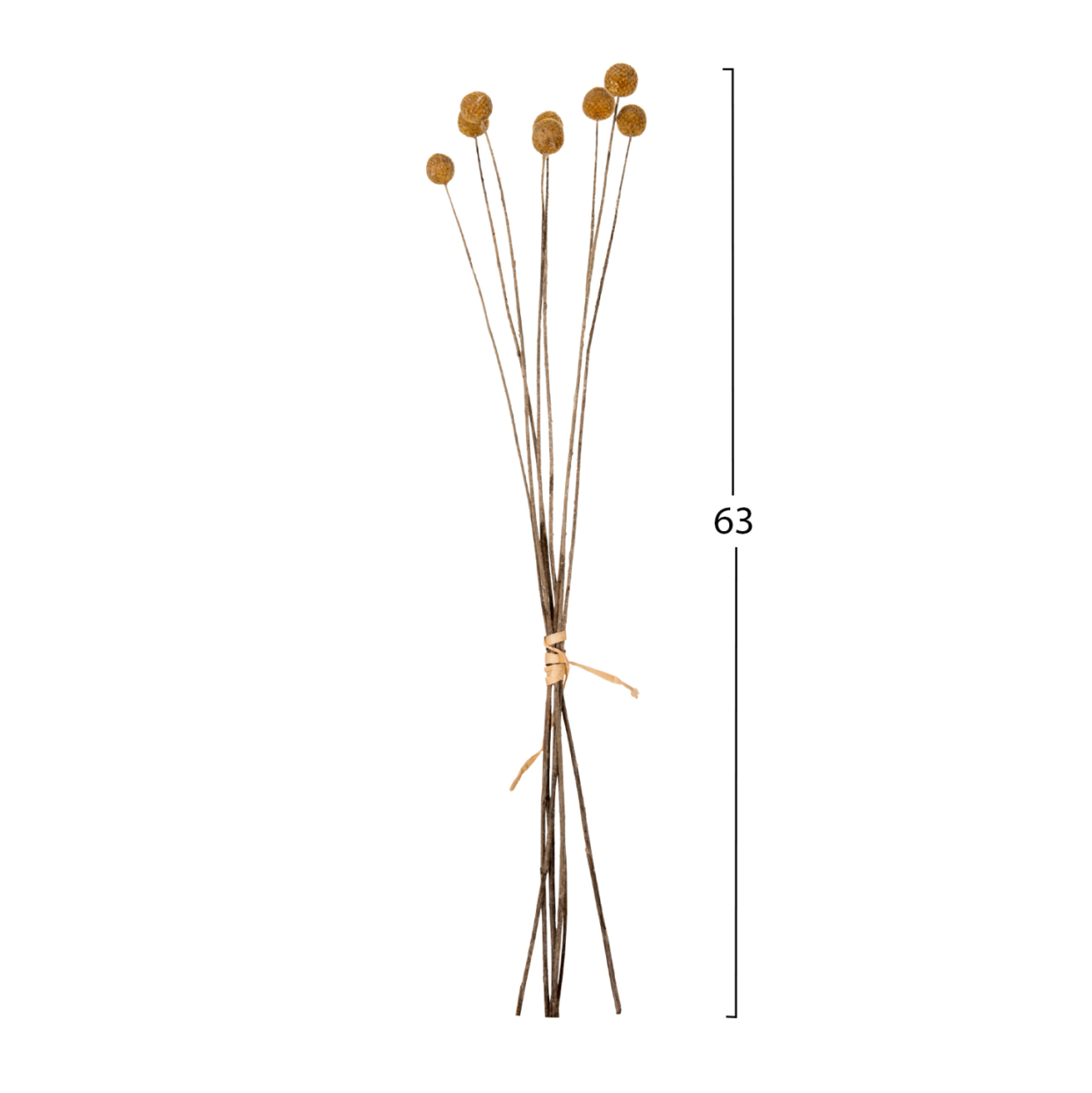 DECORATIVE DRIED BOUQUET CRASPEDIA GLOBOSA HM7956 YELLOW 63Hcm. [2]