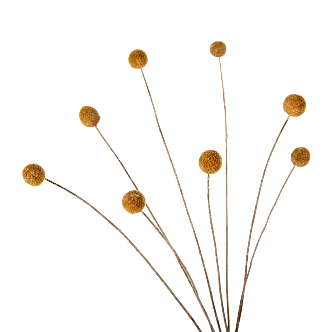 DECORATIVE DRIED BOUQUET CRASPEDIA GLOBOSA HM7956 YELLOW 63Hcm. [4]