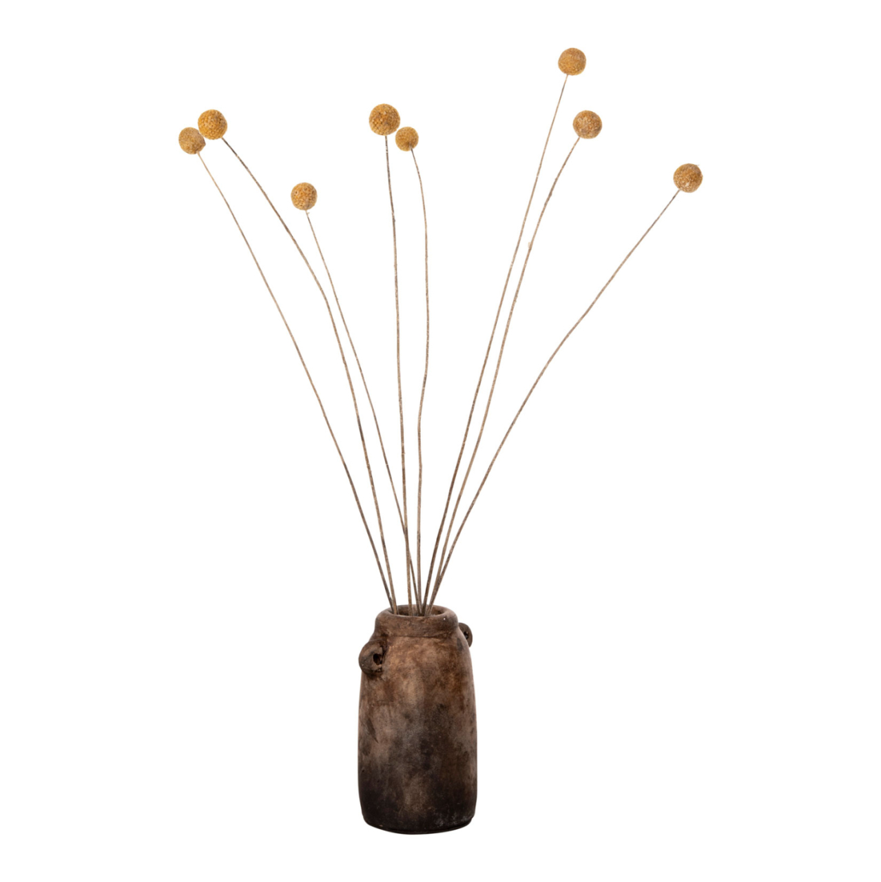 DECORATIVE DRIED BOUQUET CRASPEDIA GLOBOSA HM7956 YELLOW 63Hcm. [5]