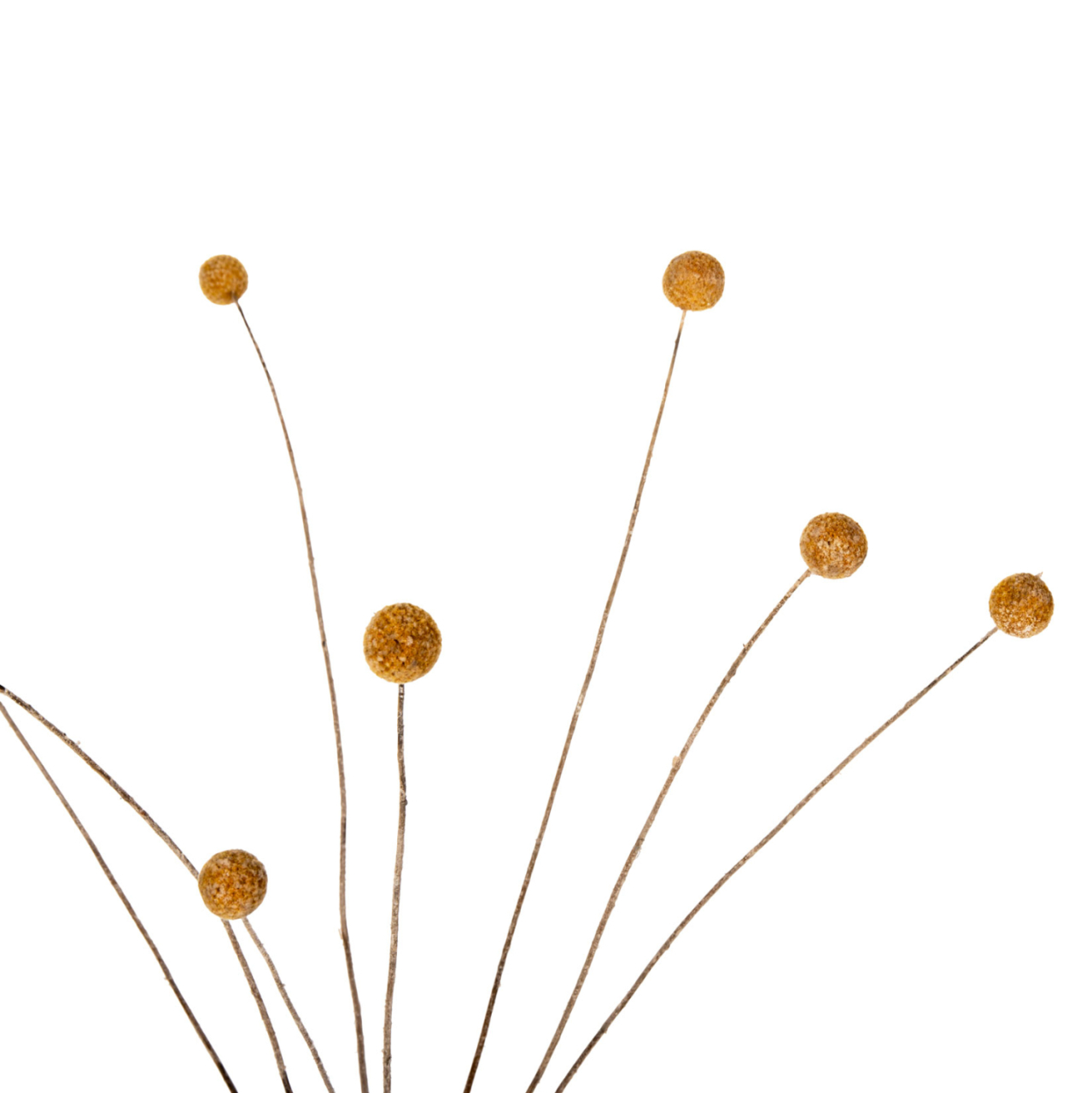 DECORATIVE DRIED BOUQUET CRASPEDIA GLOBOSA HM7956 YELLOW 63Hcm. [3]
