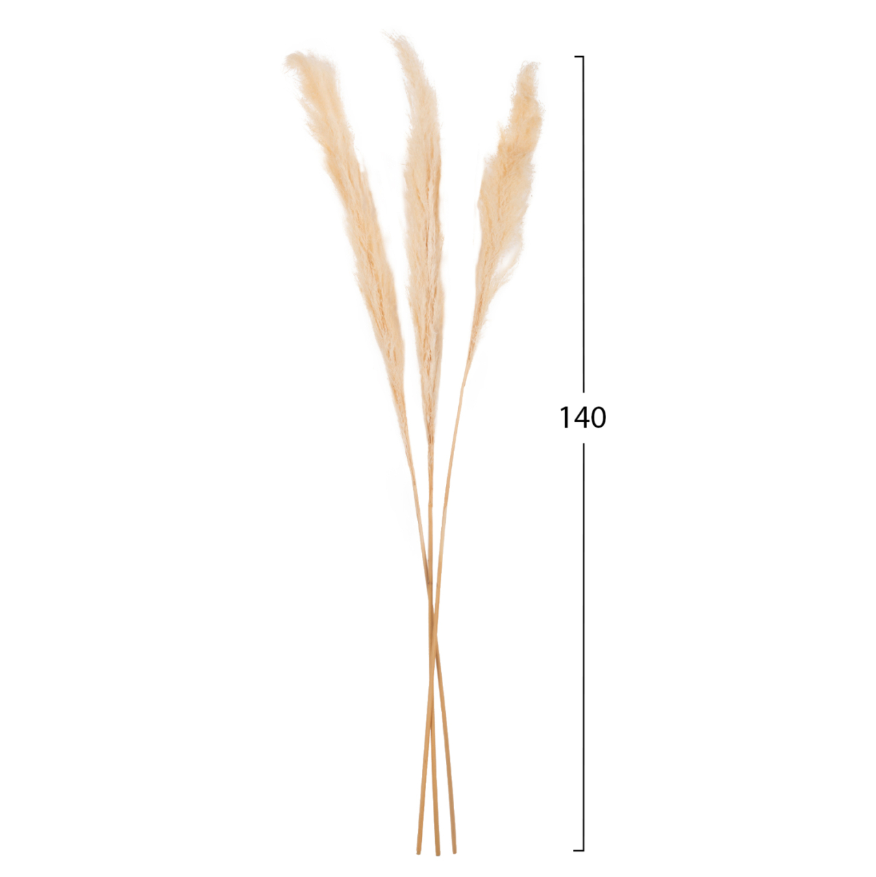 DECORATIVE DRIED REED 3PCS HM7961 WHITE 140Hcm. [2]