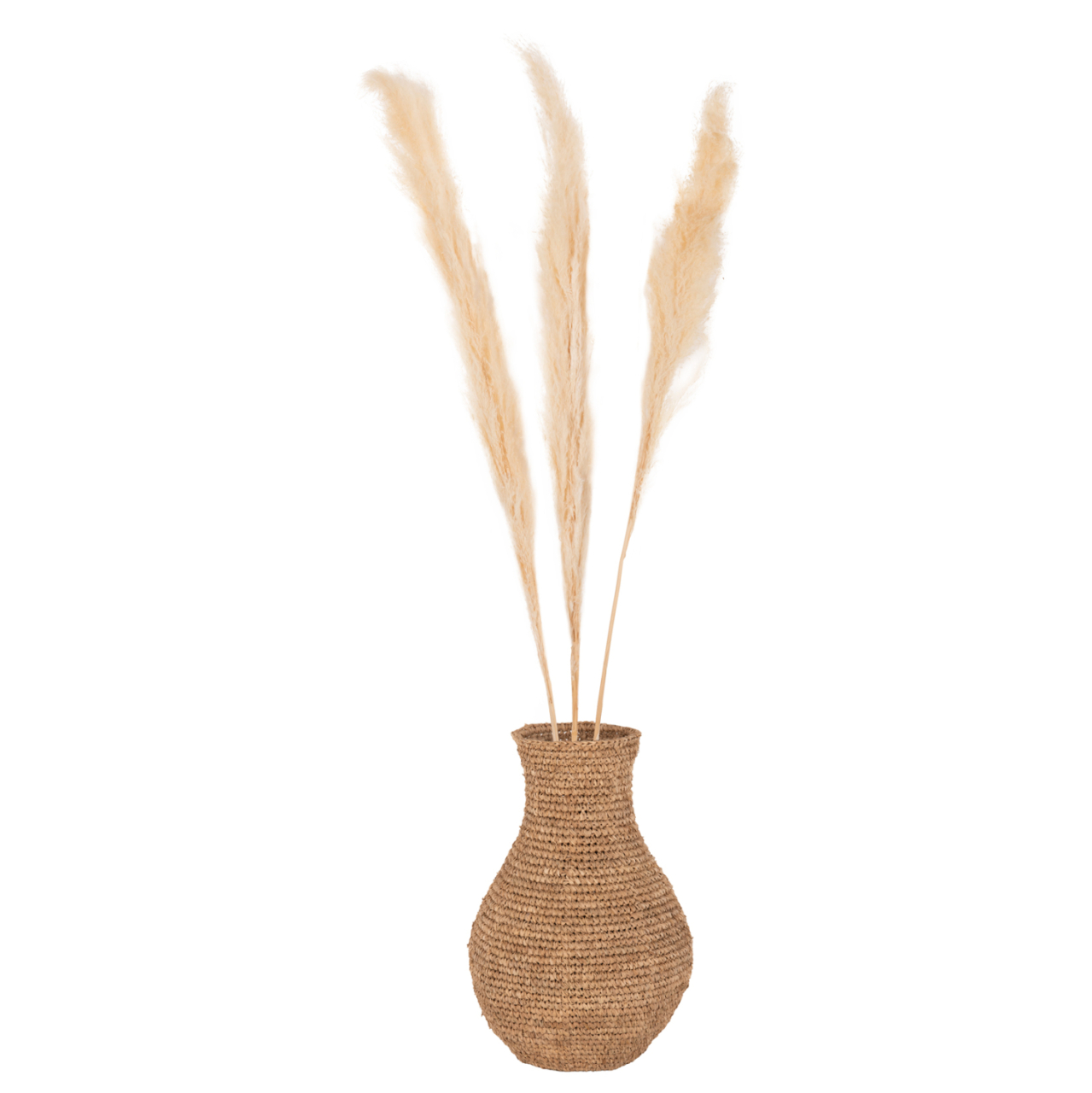 DECORATIVE DRIED REED 3PCS HM7961 WHITE 140Hcm. [5]