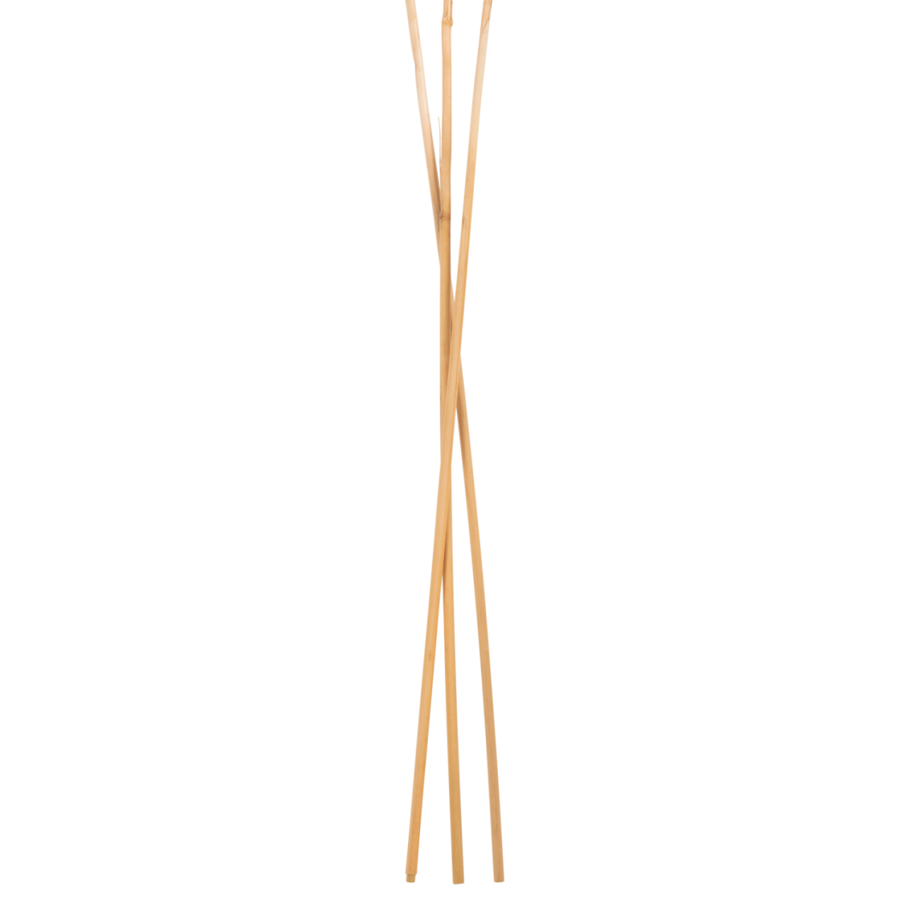 DECORATIVE DRIED REED 3PCS HM7961 WHITE 140Hcm. [4]
