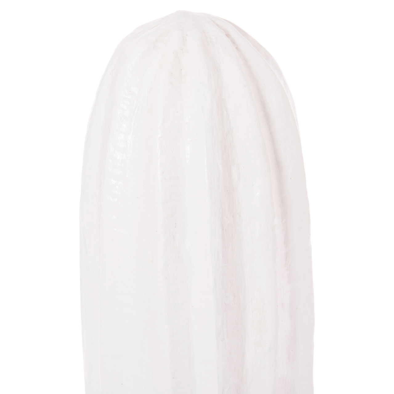 DECORATIVE FLOOR STANDING CACTUS HM4386.02S PLASTER IN WHITE 42x30x74Hcm. [5]