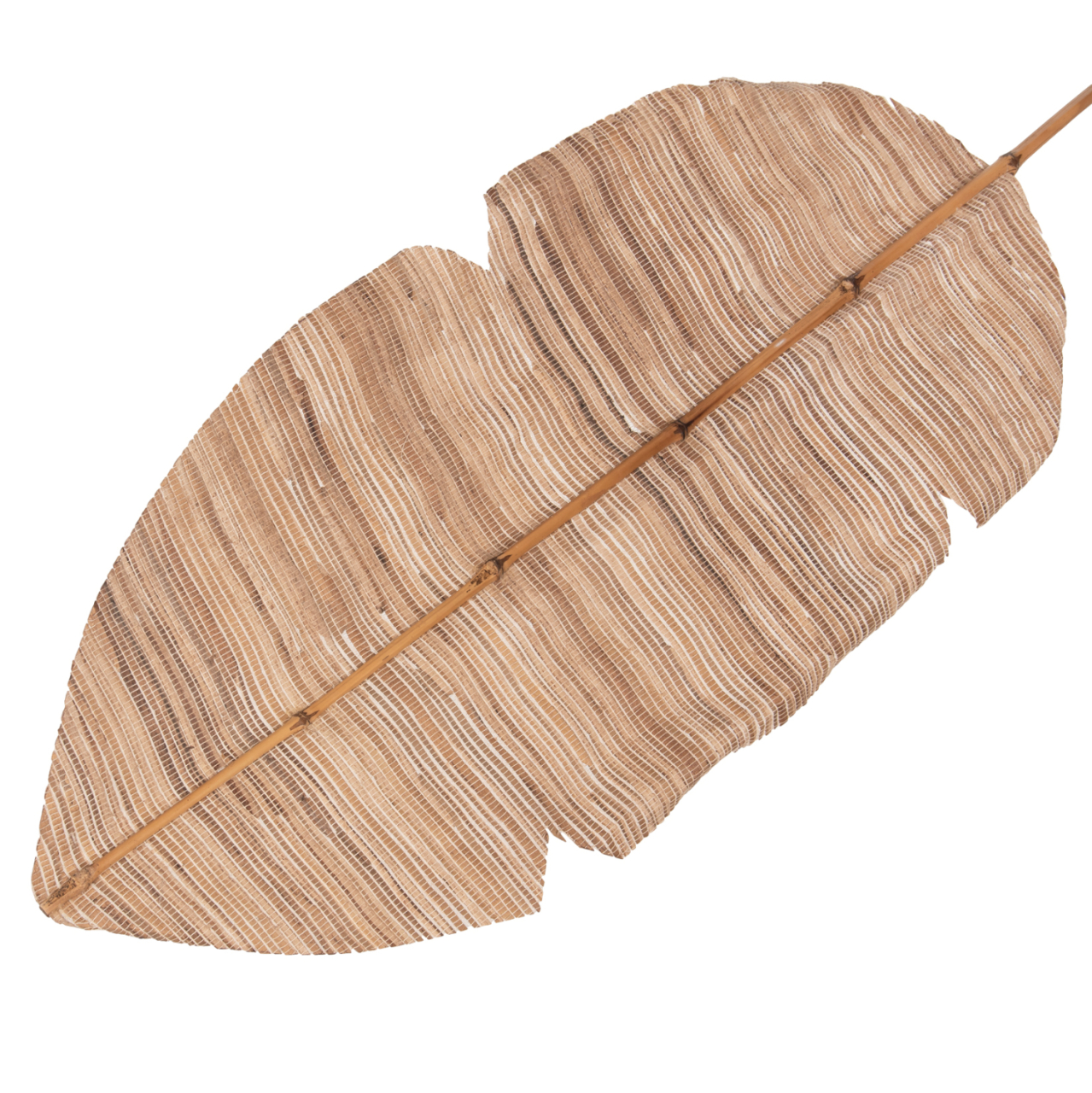 DECORATIVE LEAF ΗΜ7873 WATER HYACINTH IN NATURAL COLORING 32x200x3 cm. [3]