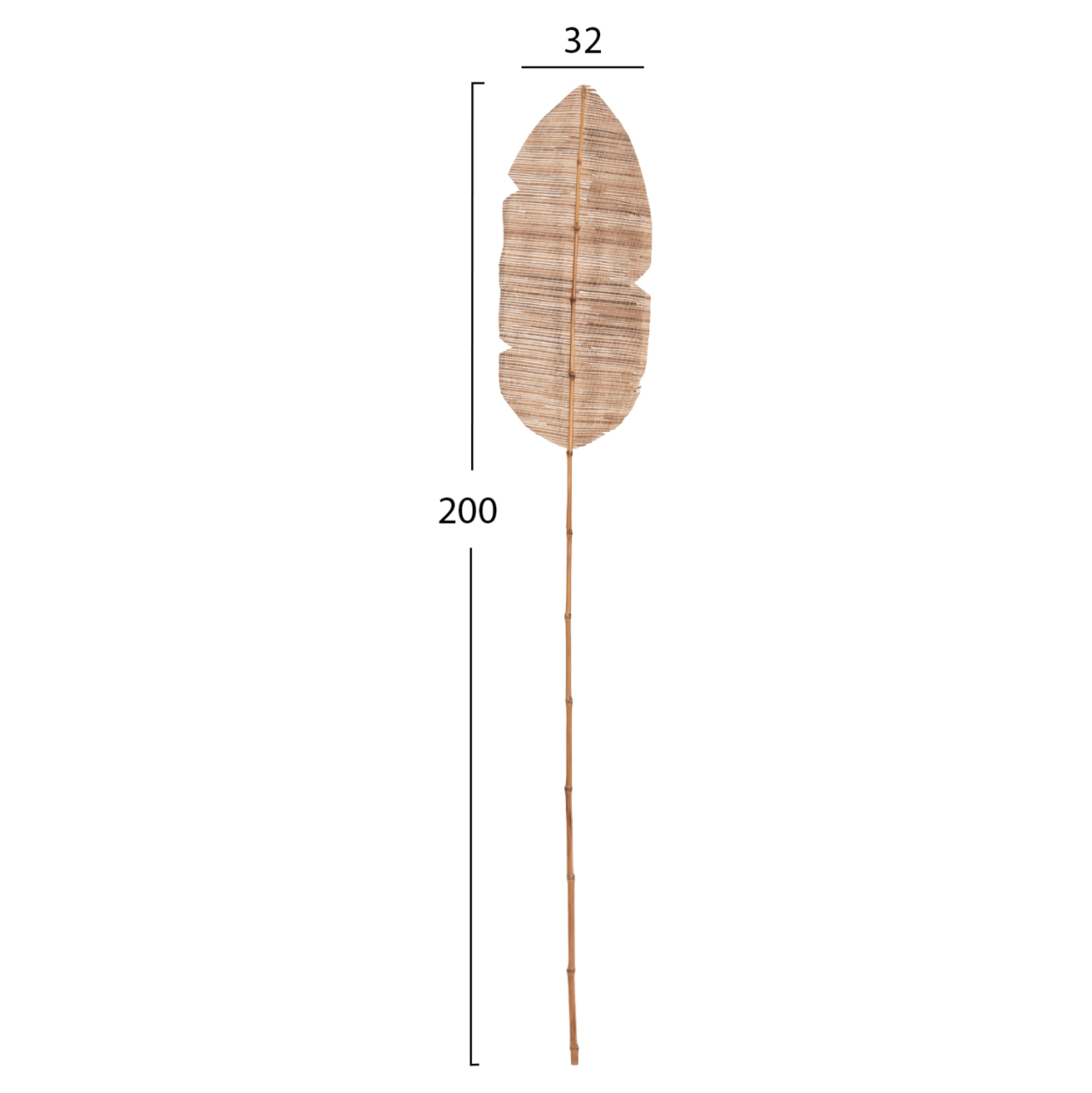 DECORATIVE LEAF ΗΜ7873 WATER HYACINTH IN NATURAL COLORING 32x200x3 cm. [2]