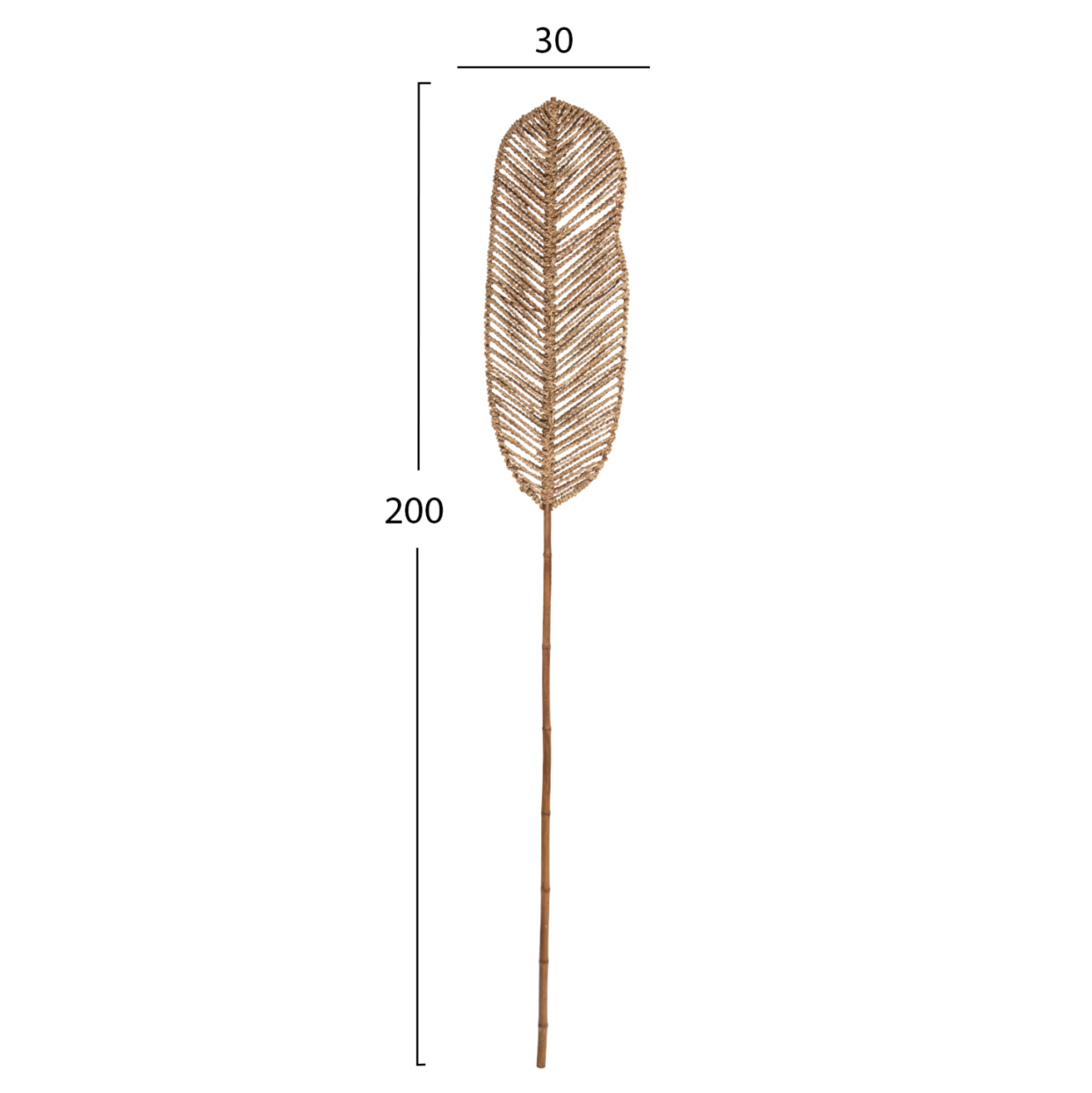 DECORATIVE LEAF HM7823.01 MADE OF BAMBOO AND SEAGRASS NATURAL 78Χ30x200Hcm. [2]
