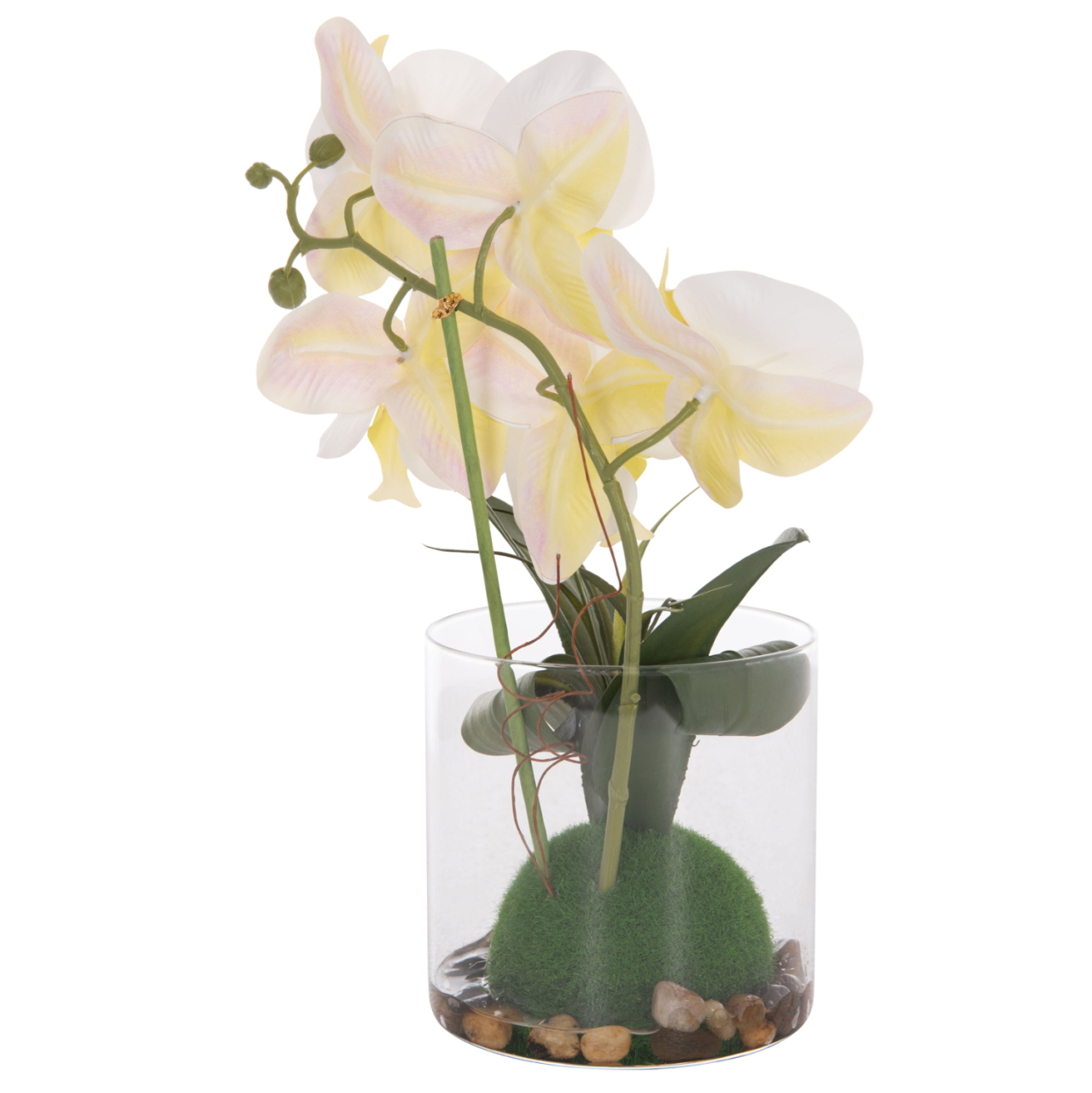 DECORATIVE SYNTHETIC PLANT HM4738 PHALAENOPSIS FLOWER IN GLASS POT 12x24x30Hcm. [8]