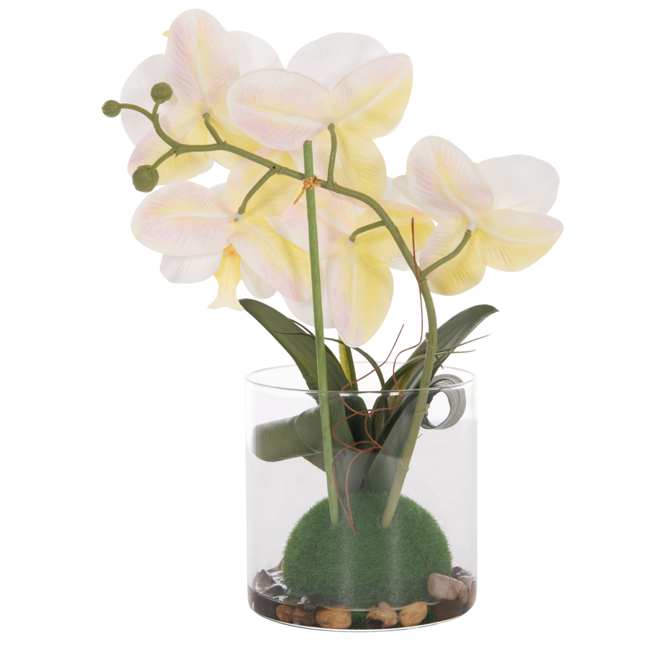 DECORATIVE SYNTHETIC PLANT HM4738 PHALAENOPSIS FLOWER IN GLASS POT 12x24x30Hcm. [9]