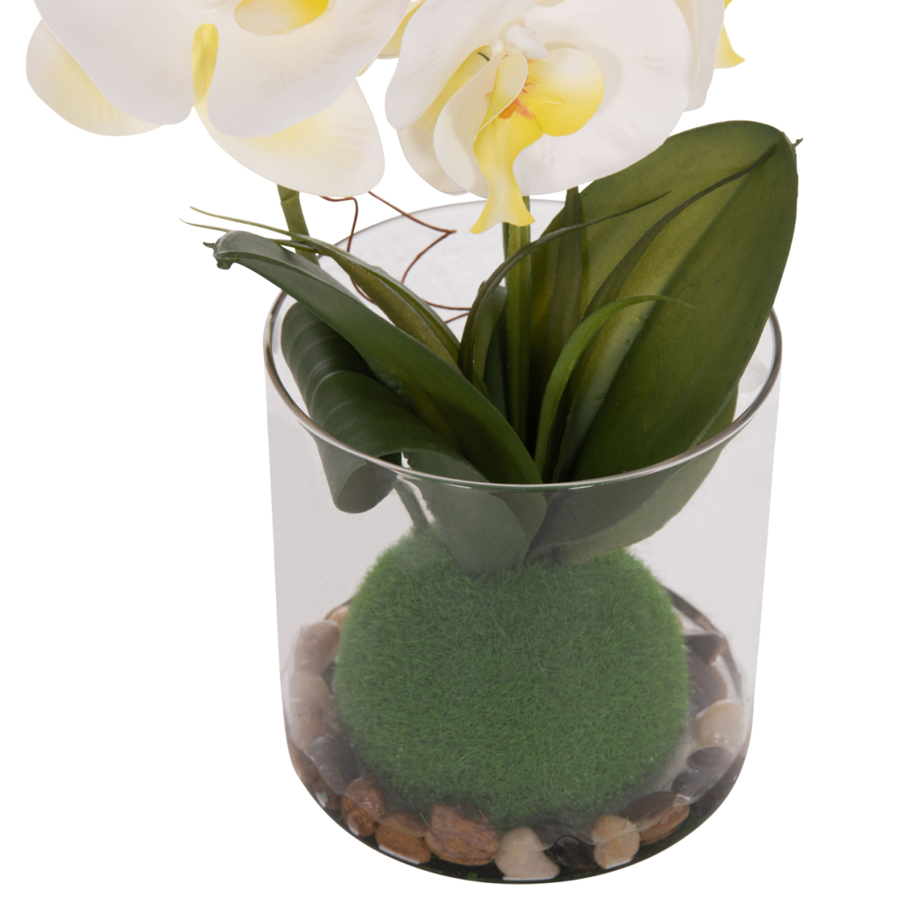 DECORATIVE SYNTHETIC PLANT HM4738 PHALAENOPSIS FLOWER IN GLASS POT 12x24x30Hcm. [5]