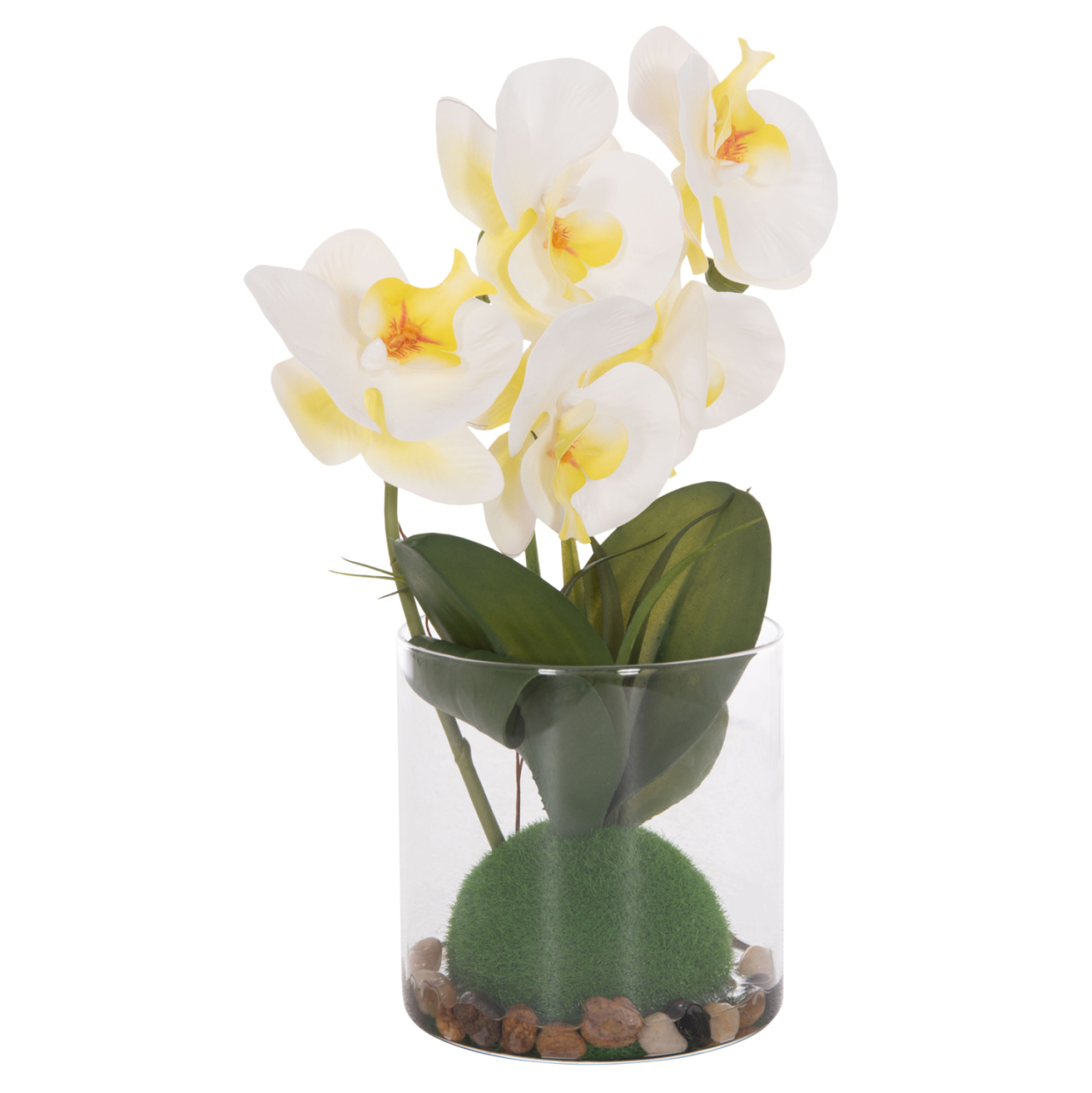 DECORATIVE SYNTHETIC PLANT HM4738 PHALAENOPSIS FLOWER IN GLASS POT 12x24x30Hcm. [6]