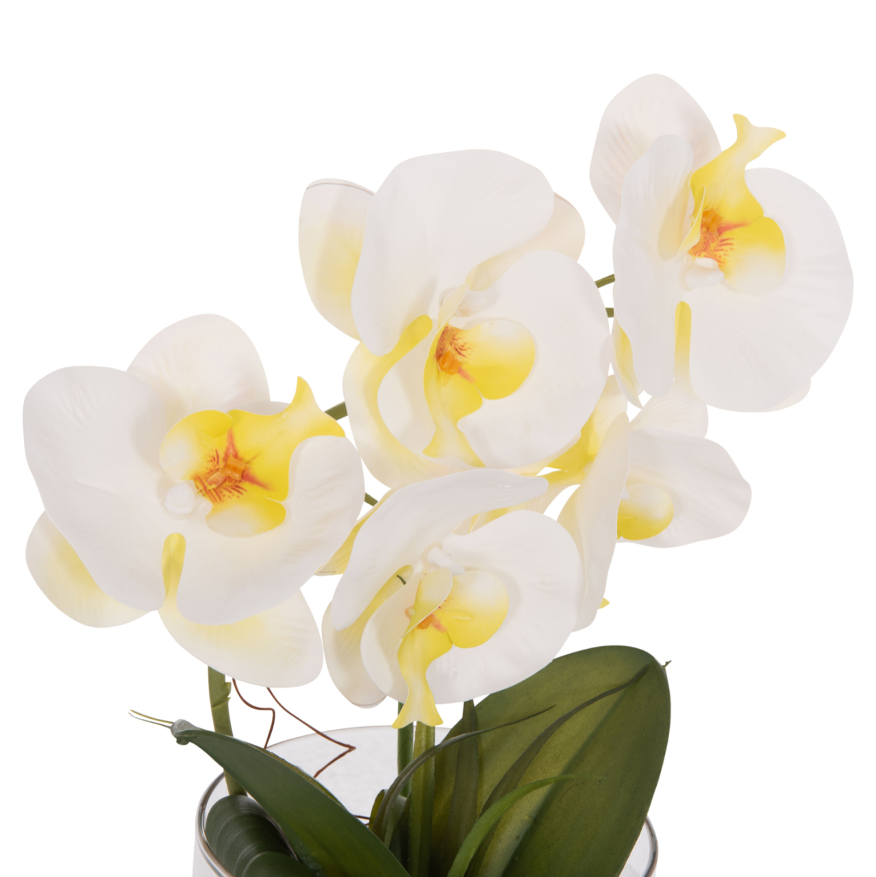 DECORATIVE SYNTHETIC PLANT HM4738 PHALAENOPSIS FLOWER IN GLASS POT 12x24x30Hcm. [4]
