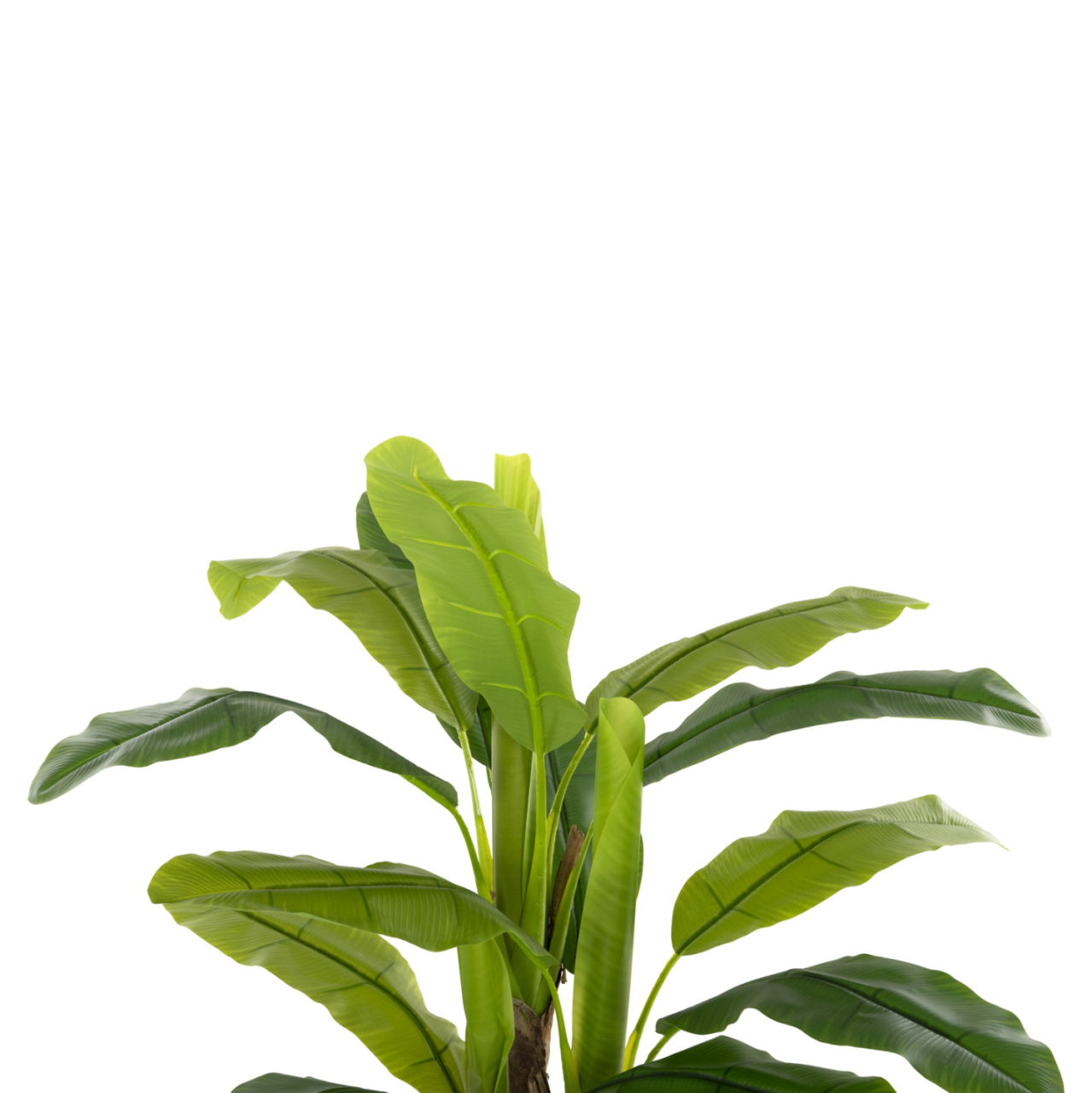 DECORATIVE SYNTHETIC PLANT HM7968 BANΑΝΑ TREE IN POT 123H cm. [3]