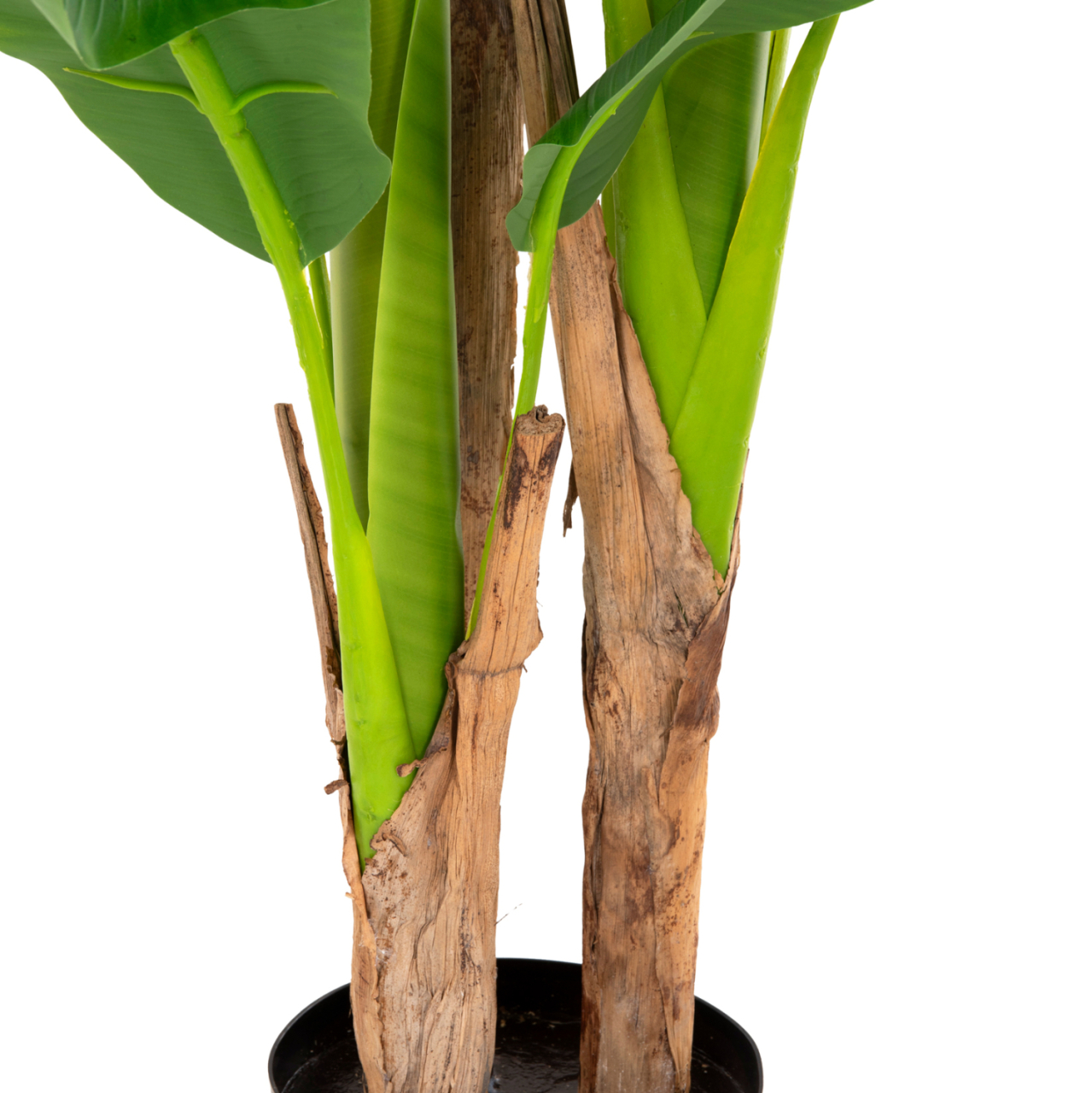 DECORATIVE SYNTHETIC PLANT HM7968 BANΑΝΑ TREE IN POT 123H cm. [5]