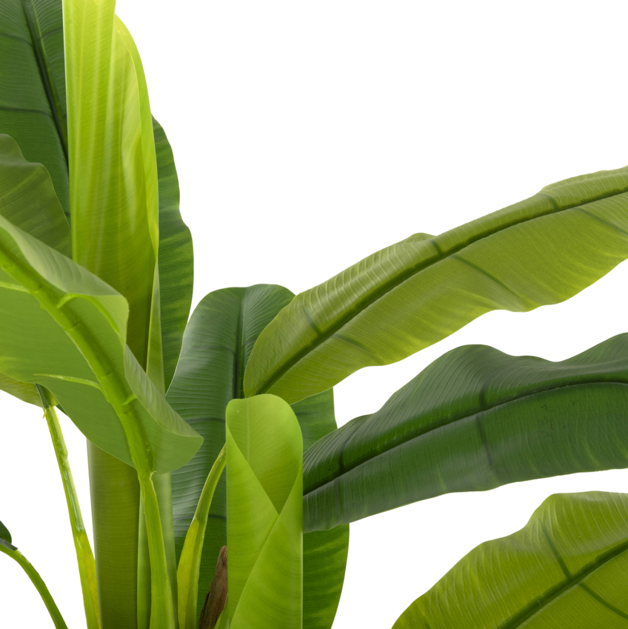 DECORATIVE SYNTHETIC PLANT HM7968 BANΑΝΑ TREE IN POT 123H cm. [4]