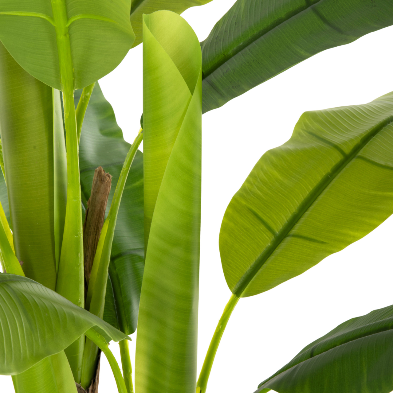 DECORATIVE SYNTHETIC PLANT HM7968 BANΑΝΑ TREE IN POT 123H cm. [6]