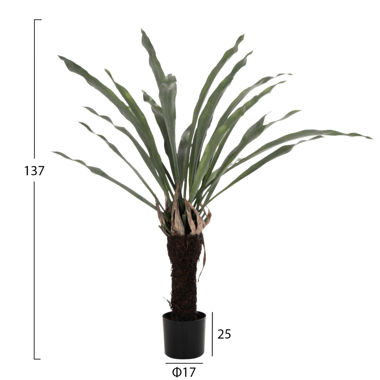 DECORATIVE SYNTHETIC PLANT HM7975 ASPLENIUM PROLONGATUM (FERN) IN POT 137Hcm. [2]