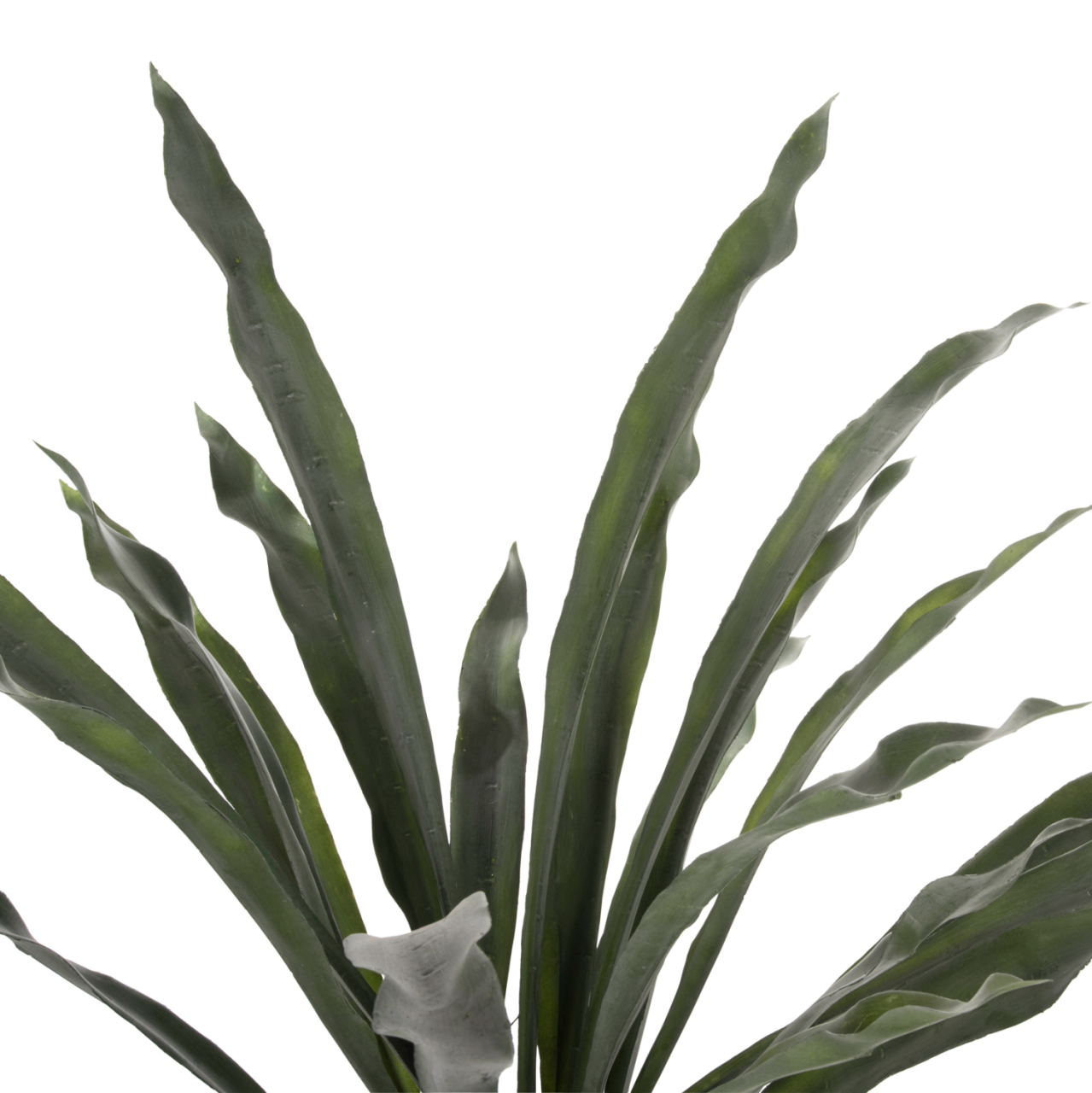 DECORATIVE SYNTHETIC PLANT HM7975 ASPLENIUM PROLONGATUM (FERN) IN POT 137Hcm. [3]