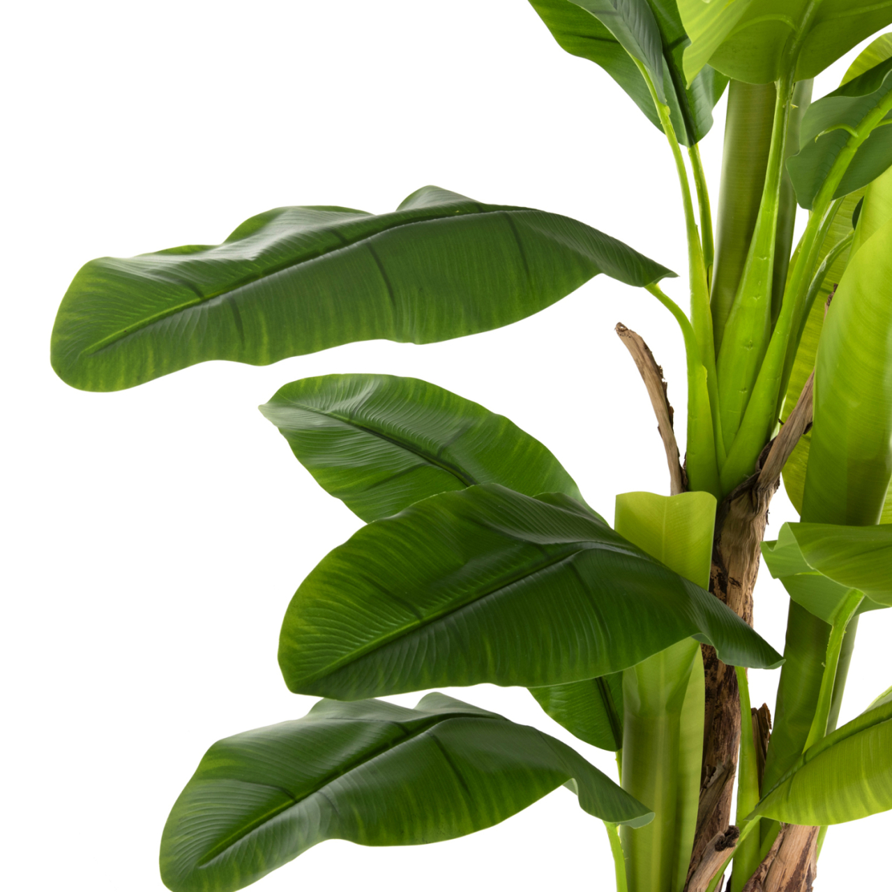 DECORATIVE SYNTHETIC PLANT HM7977 BANΑΝΑ TREE IN POT 150H cm. [5]